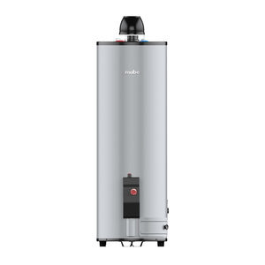 Calentador de agua de Gas LP 38 L Silver Mabe - CDM40SLP