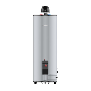 Calentador de agua de Gas Natural 38 L Silver Mabe - CDM40SNA