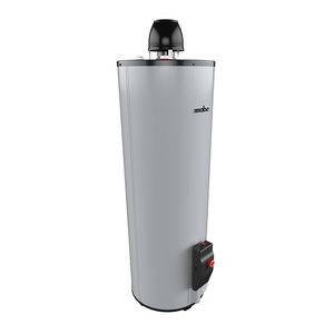 Calentador de agua de Gas LP 80 L Silver Mabe - CDM80SLP