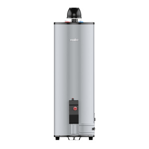 Calentador de agua de Gas LP 80 L Silver Mabe - CDM80SLP
