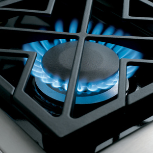 Estufa de Piso 90 cm Acero Inoxidable Monogram ZGP366LRSS